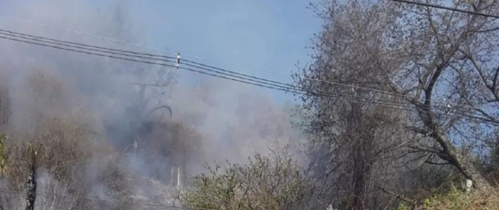 Incendio forestal Fuente (Twitter)