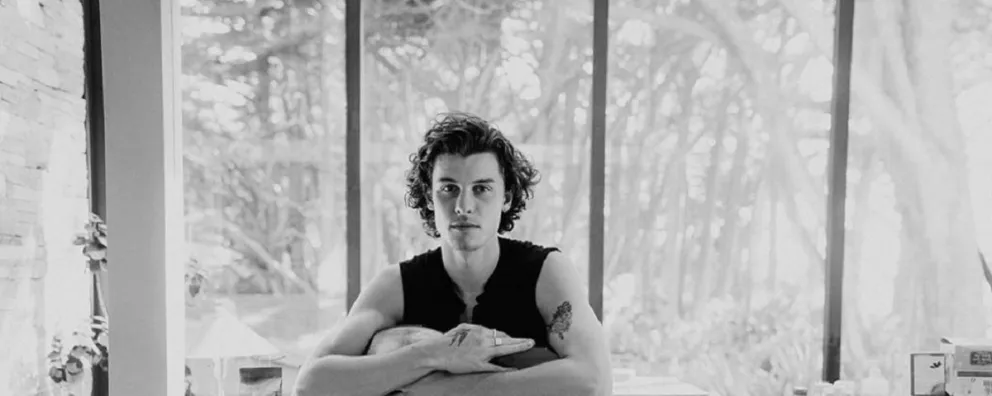 Shawn Mendes anuncia "Wonder" su nueva sencillo y reveló detalles en un vídeo