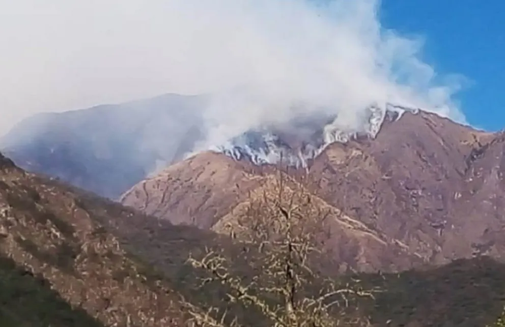 Incendios forestales
