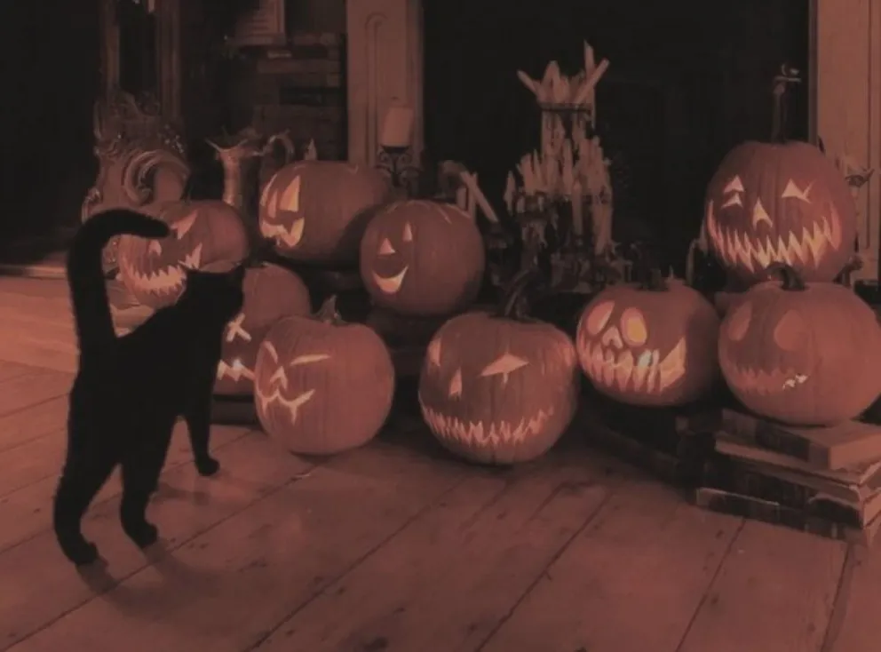 Halloween. Fuente: (Twitter)