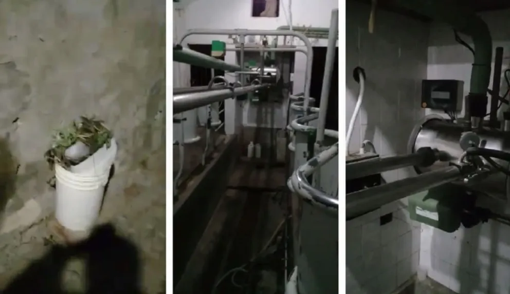IMÁGENES EXCLUSIVAS: dejaron la llave de un tambo bajo una maceta y delincuentes lo desvalijaron todo