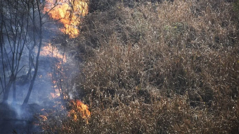 Incendio en el norte