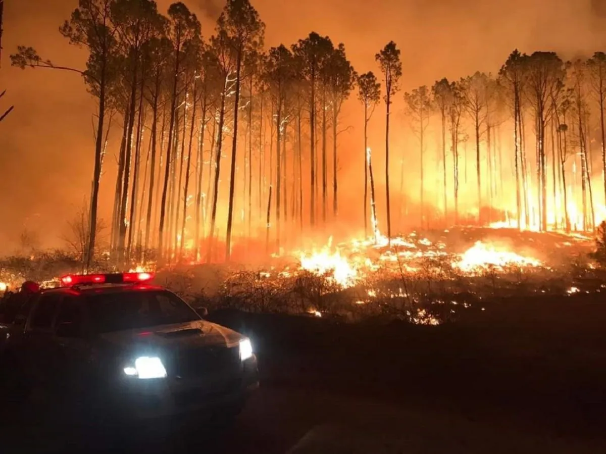 Incendios Forestales