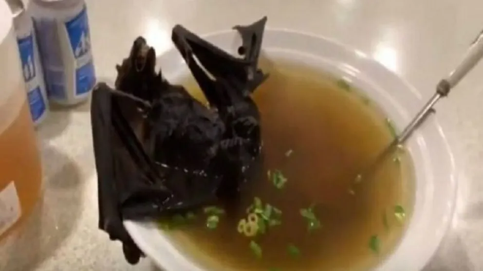 Sopa de murcielago