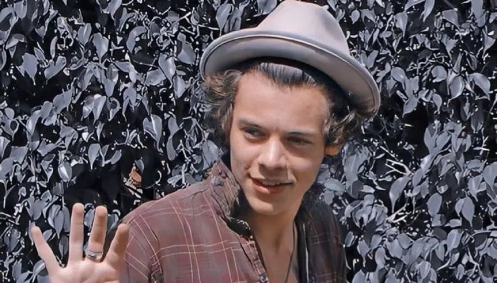 Se filtró un vídeo de Harry Styles, el ex One Direction haciendo ejercicio al ritmo de 'Before you go'