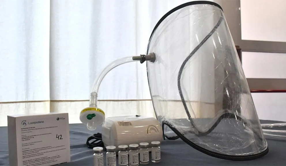 ibuprofeno sodico