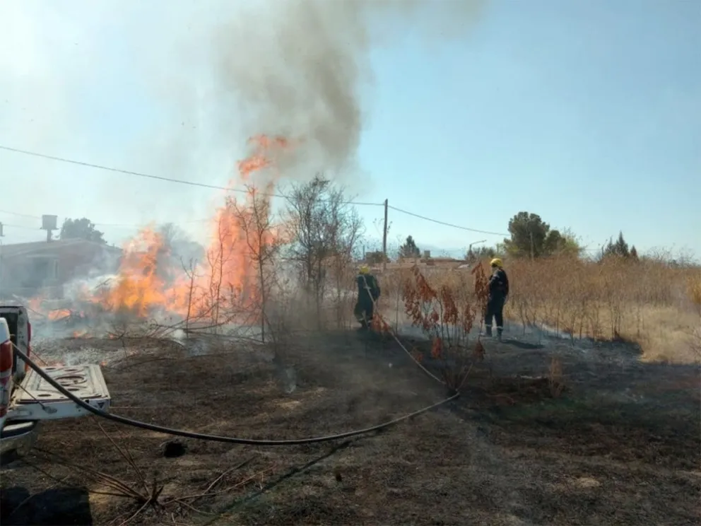 Incendios forestales