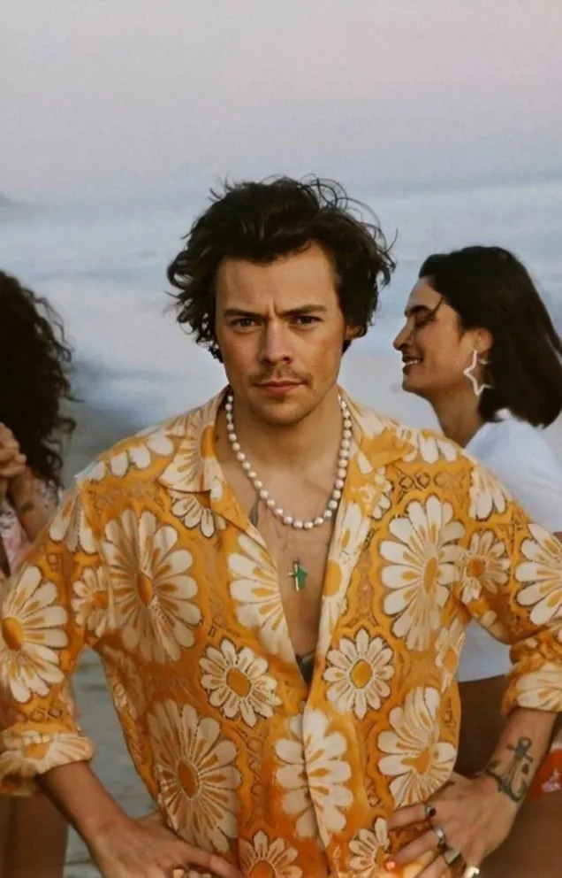 Harry Styles. Fuente (Instagram)