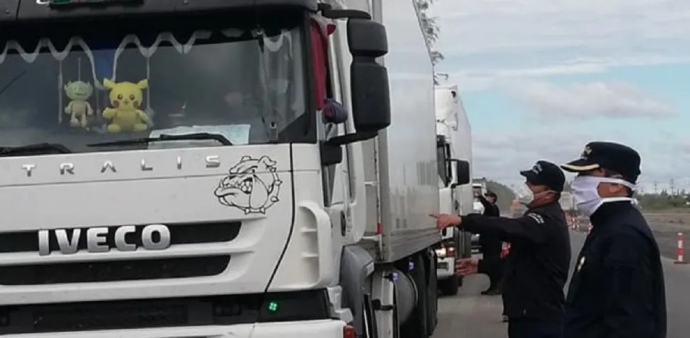 Golpe al narcotráfico en Salta: "narcocamionero" aseguraba transportar solo madera y cargaba algo más