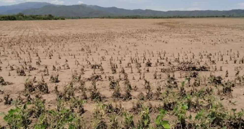 emergencia agropecuaria