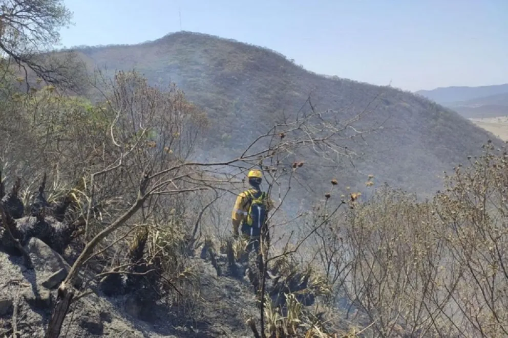 incendios forestales