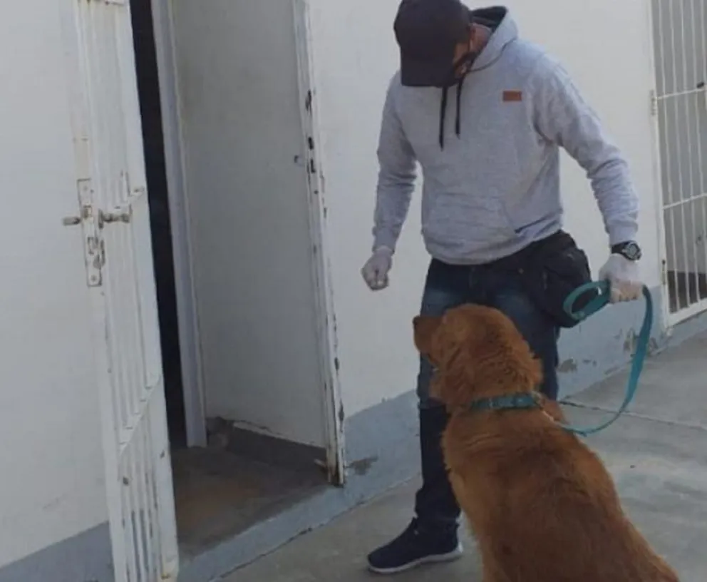 Perro de la Policía