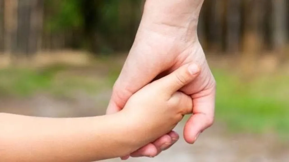 Mariano Silisque: 'Al no encontrase alguien de la familia biológica para que pueda brindarle resguardo a esta niña, se llamó a una convocatoria pública”