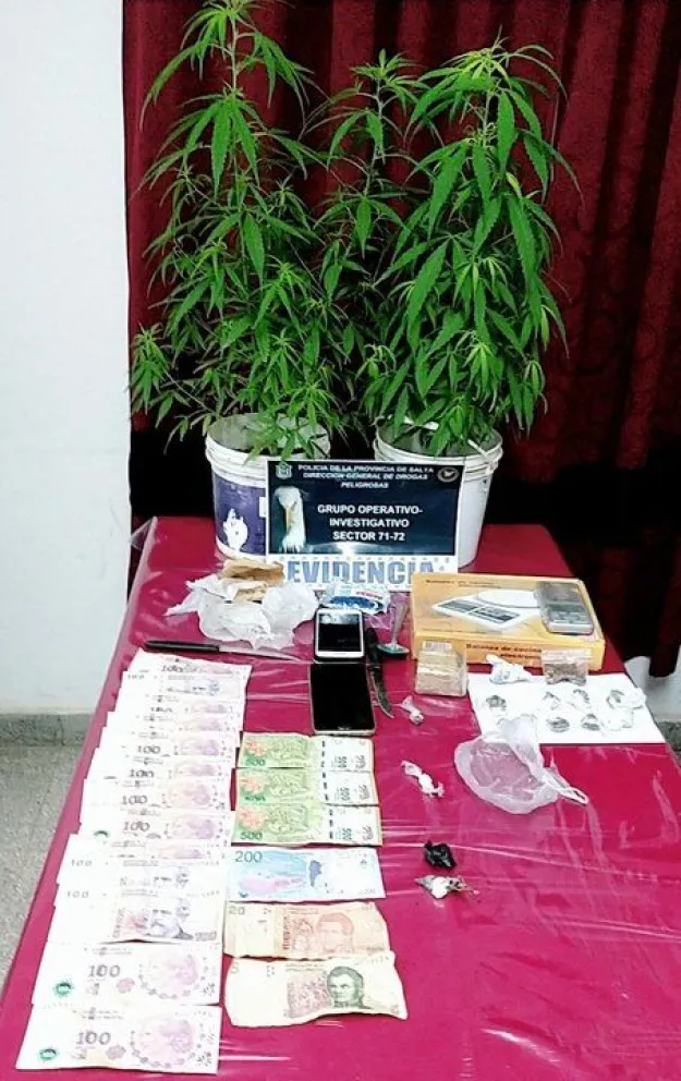 Secuestro de marihuana y cocaína en Guemes