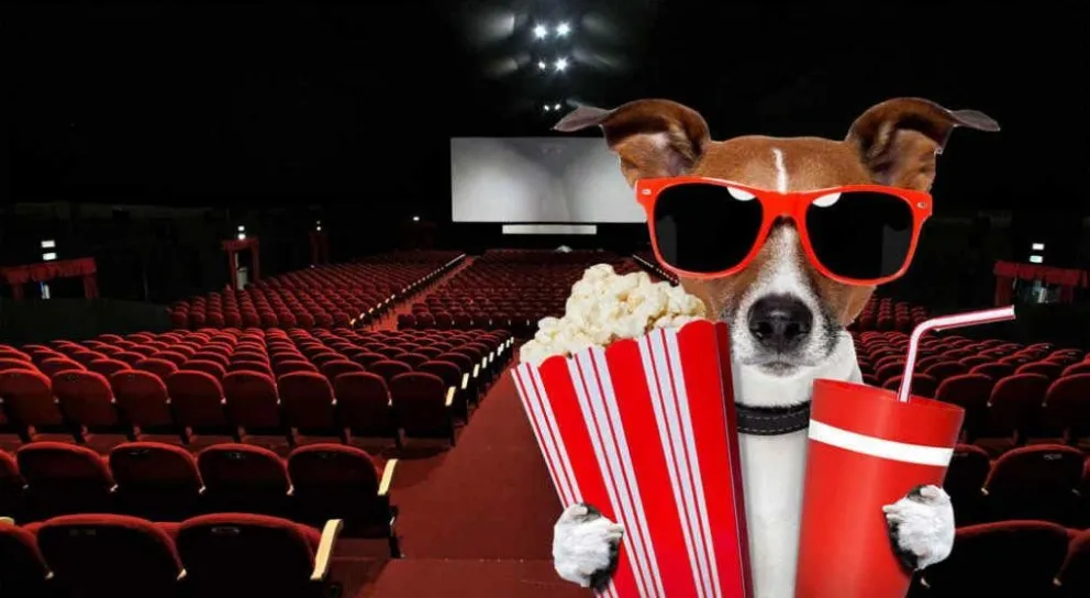 Para el fin de semana: cronograma del cine municipal