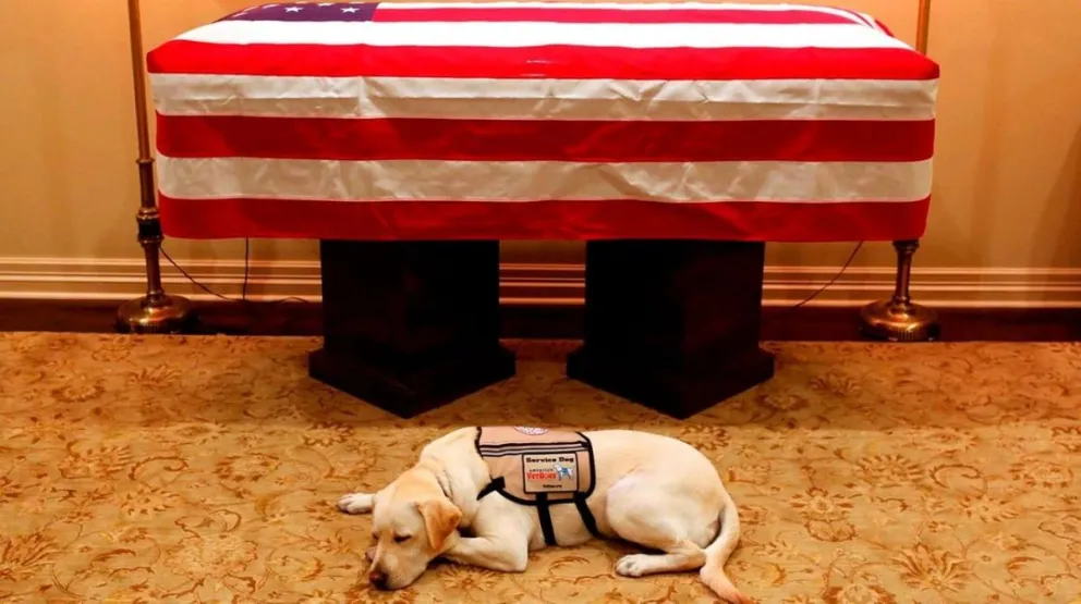 El emotivo adiós de la mascota de George Bush