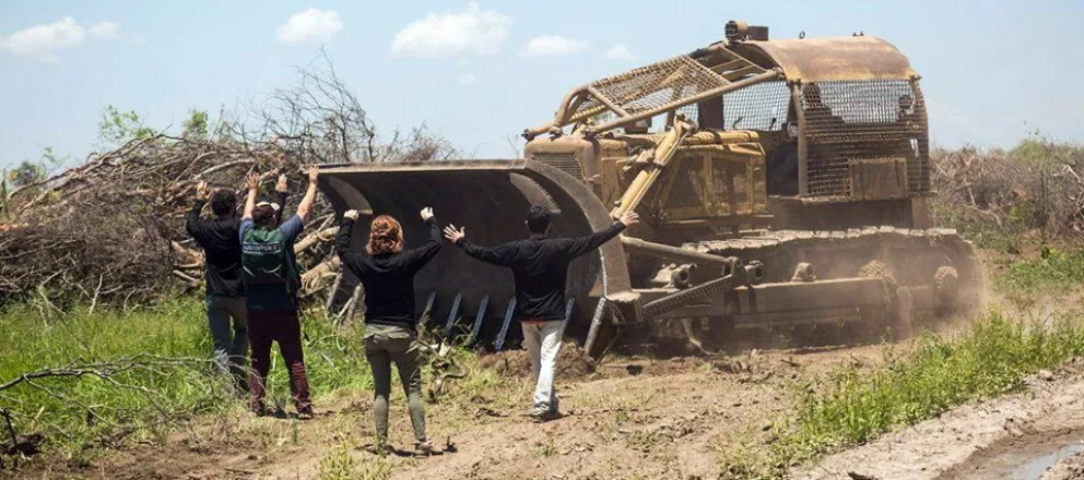 Dos empresarios salteños deberán pagar millonarias multas por realizar desmontes