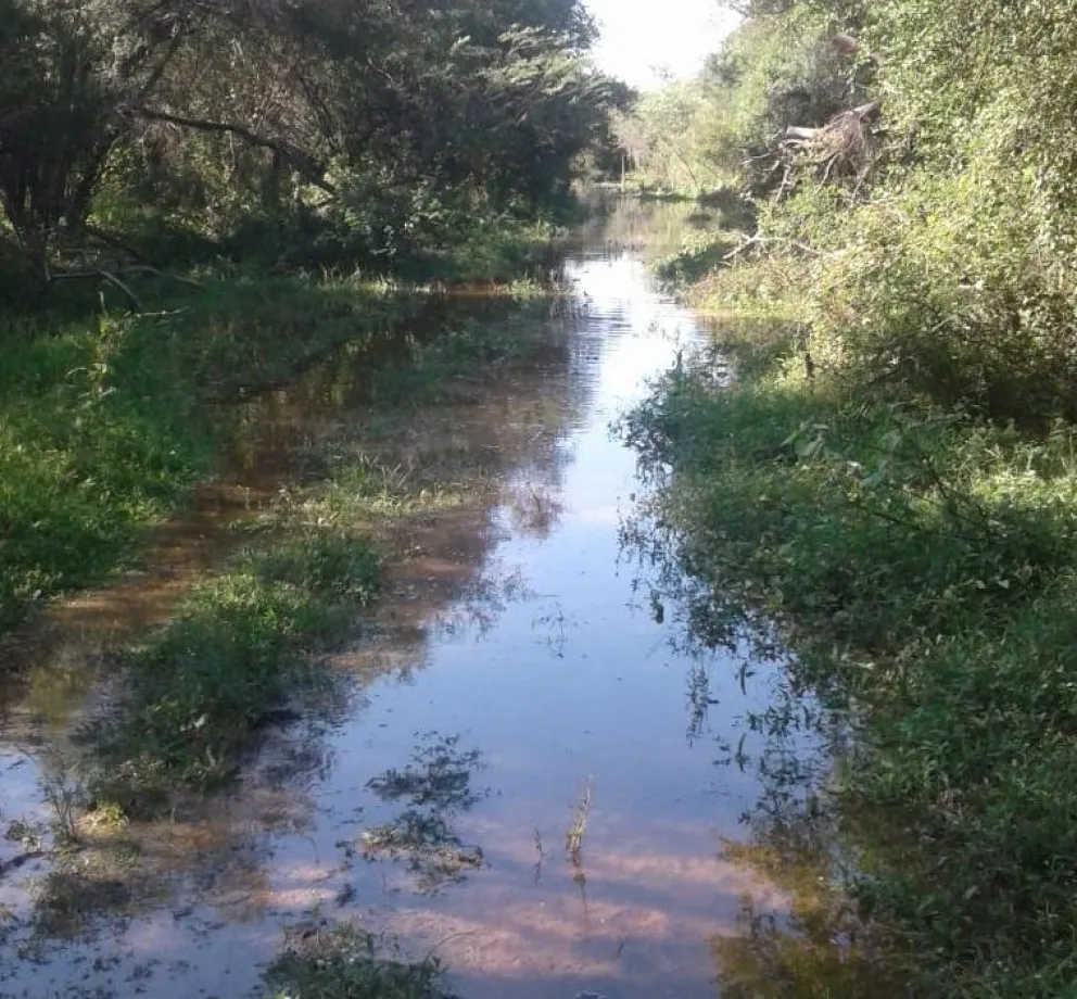Desbordó el Bermejo