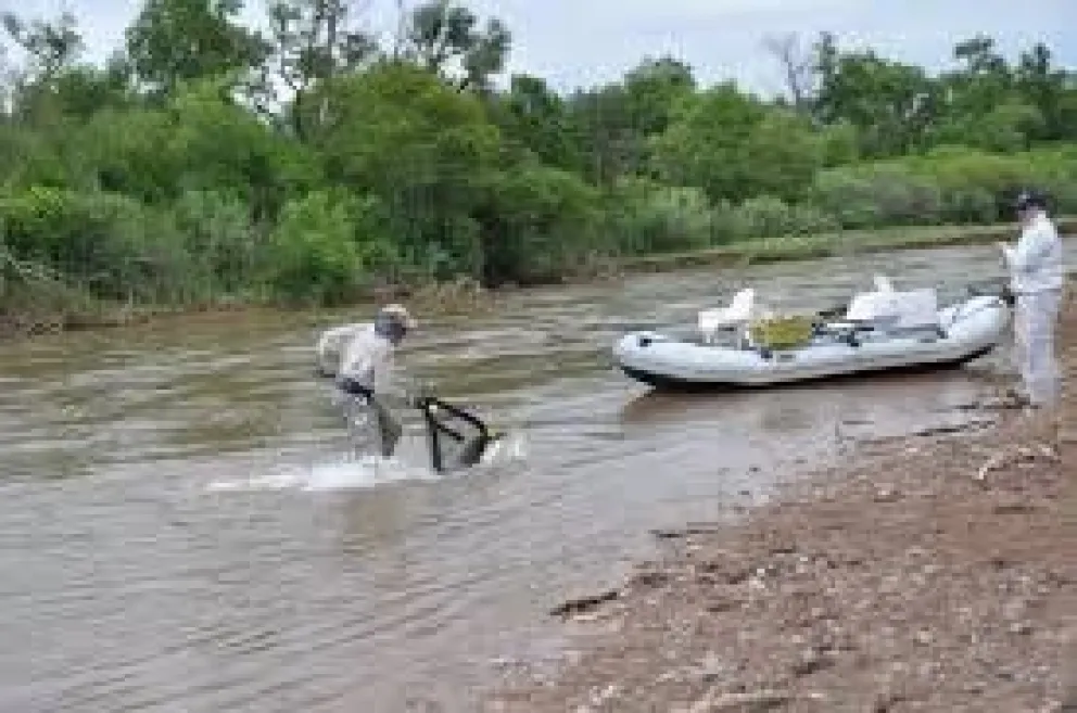 Quedan pocos días para pescar en el río Juramento, luego entrará en veda