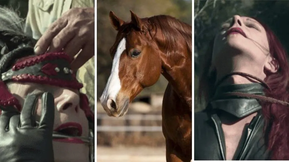 Era hombre, hoy es mujer y ahora quiere ser caballo