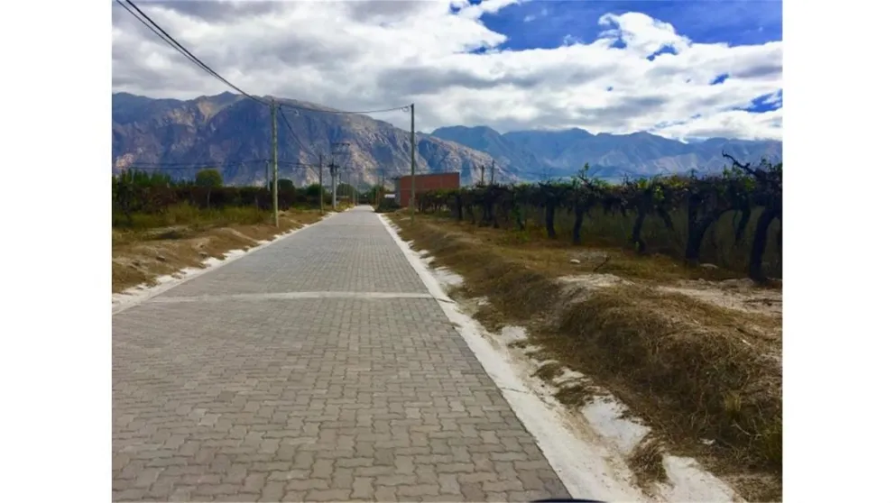Con esta obra se van a beneficiar 520 lotes en Cafayate