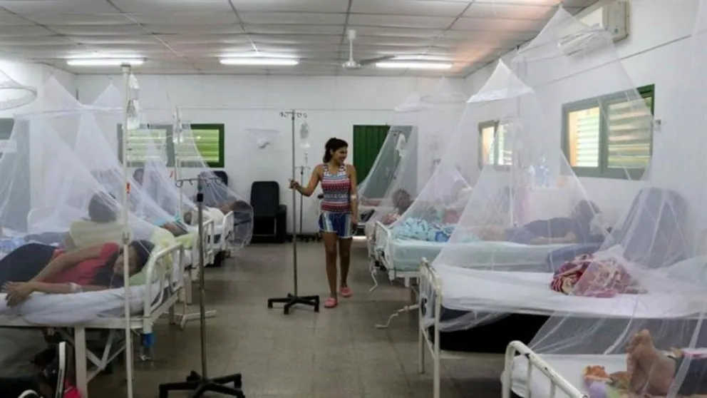 Cifra que da miedo: 1500 salteños tienen dengue