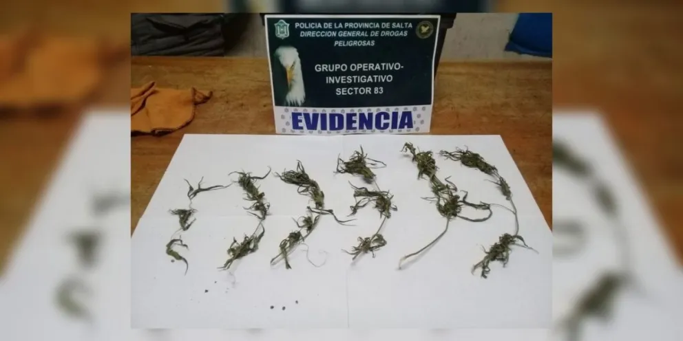 Cayó traficante en Chicoana: no va quedar ni uno