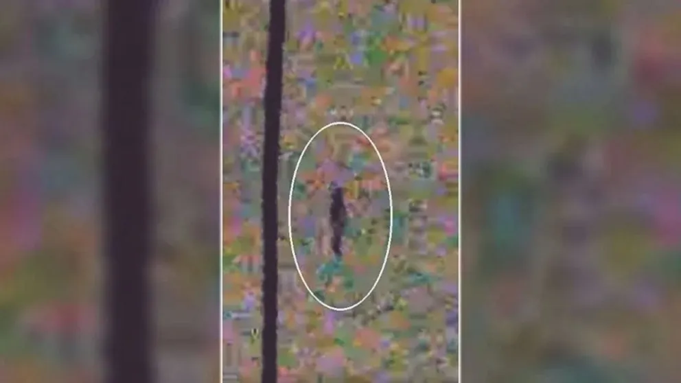 VIDEO. Escalofriante grabación de humanoides que aparecen en el cielo volando