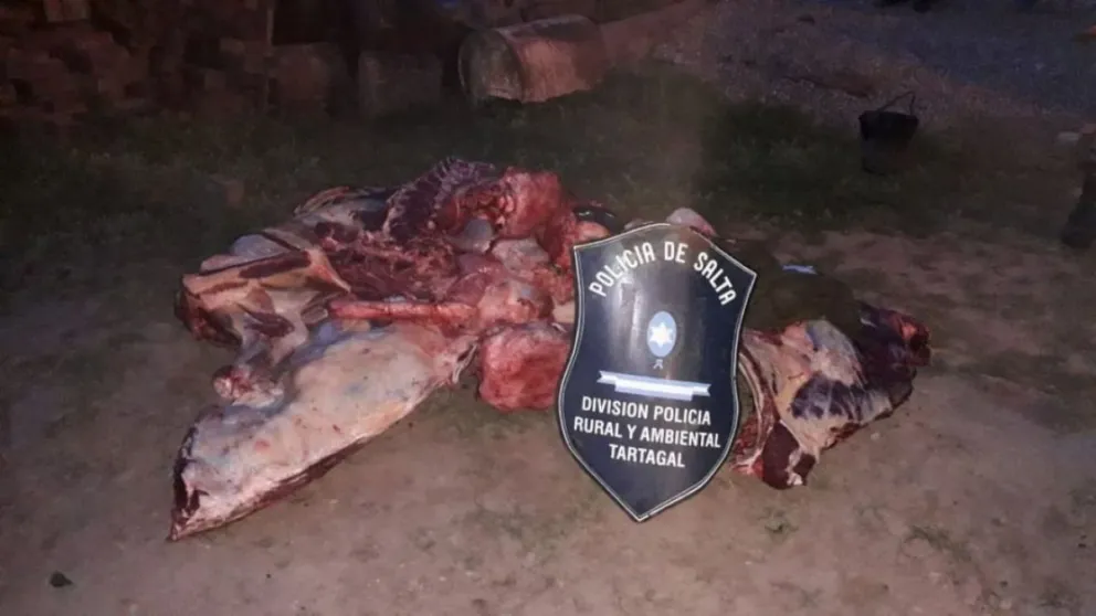¡Cuidado: decomisaron 450 kg de carne. ¿Cuándo y dónde?
