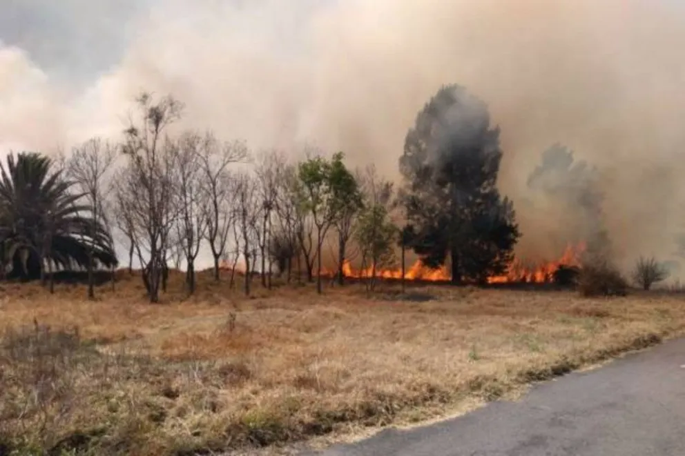 Momentos de terror: feroz incendio en Salta