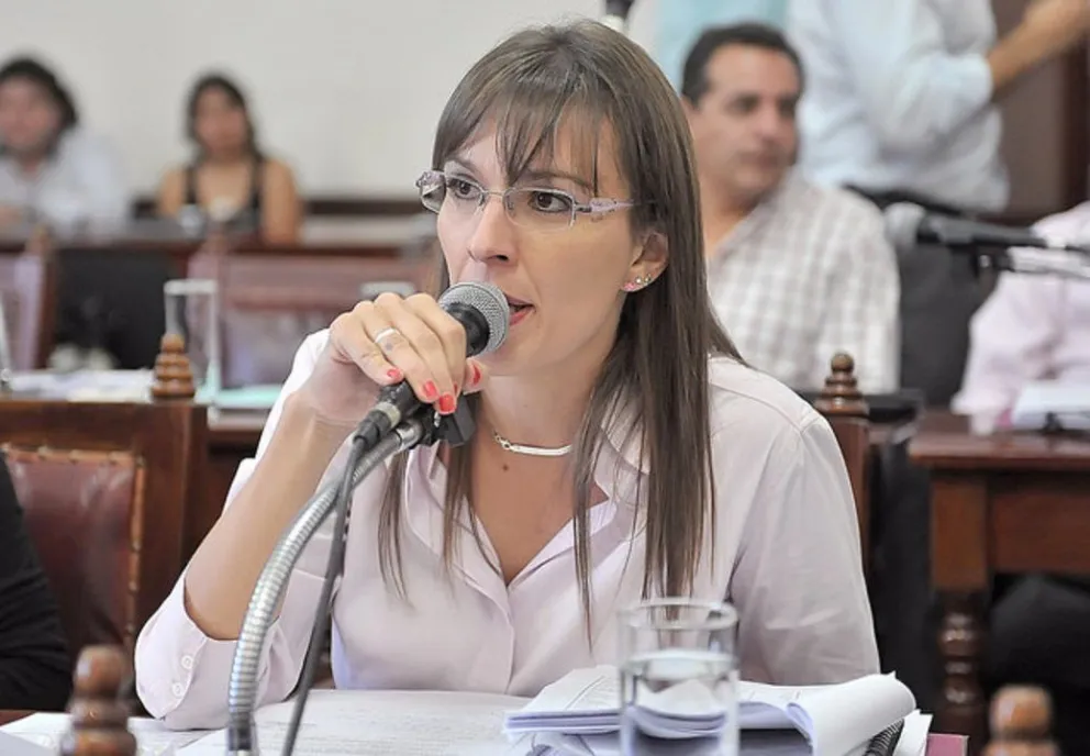 Romina Arroyo: 'El servicio es necesario siempre y cuando no se beneficie a una empresa privada”