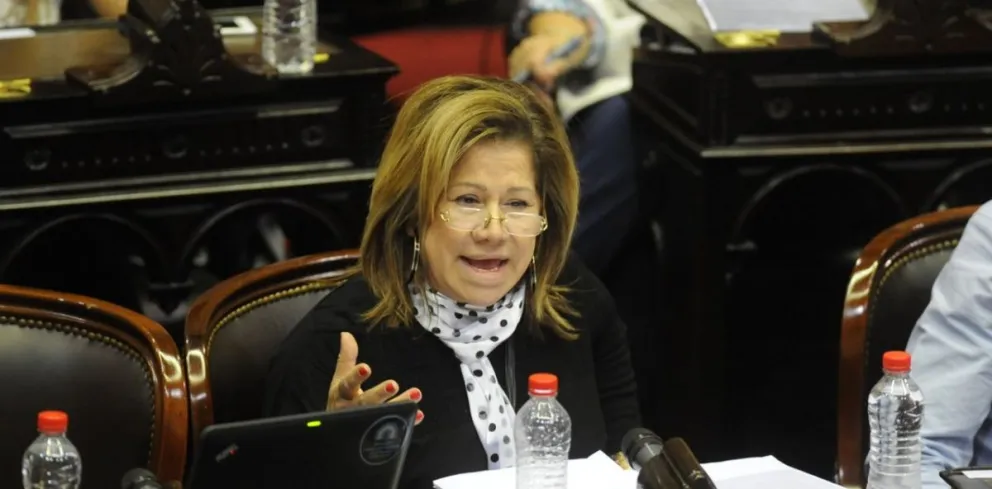Graciela Camaño se bajó de Consenso 2030