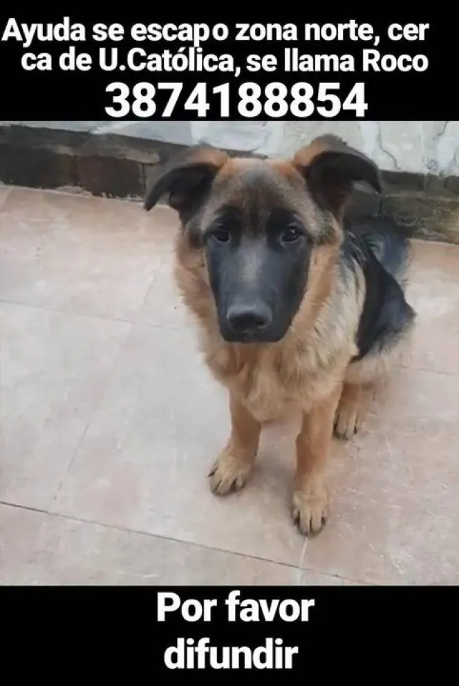 Una familia busca tu ayuda urgente: hay recompensa