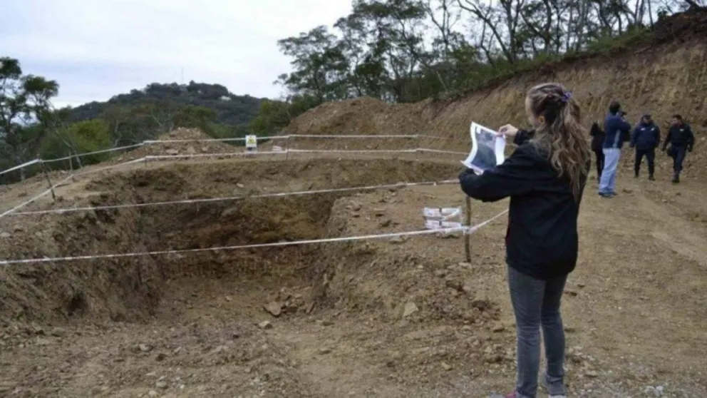 No lo entendieron: pese a las prohibiciones siguen las obras en el Ala Delta