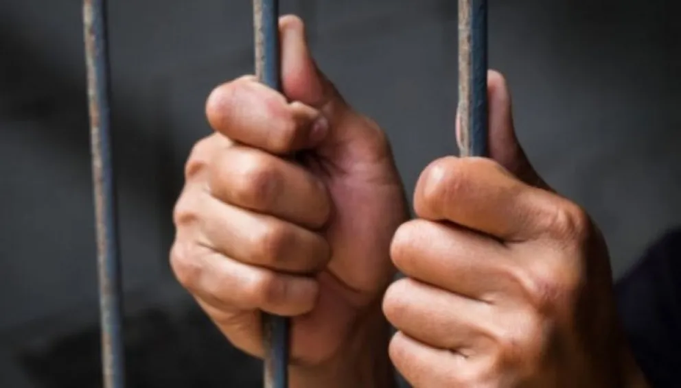 No aprenden más: persecución policial y secuestro de hojas de coca