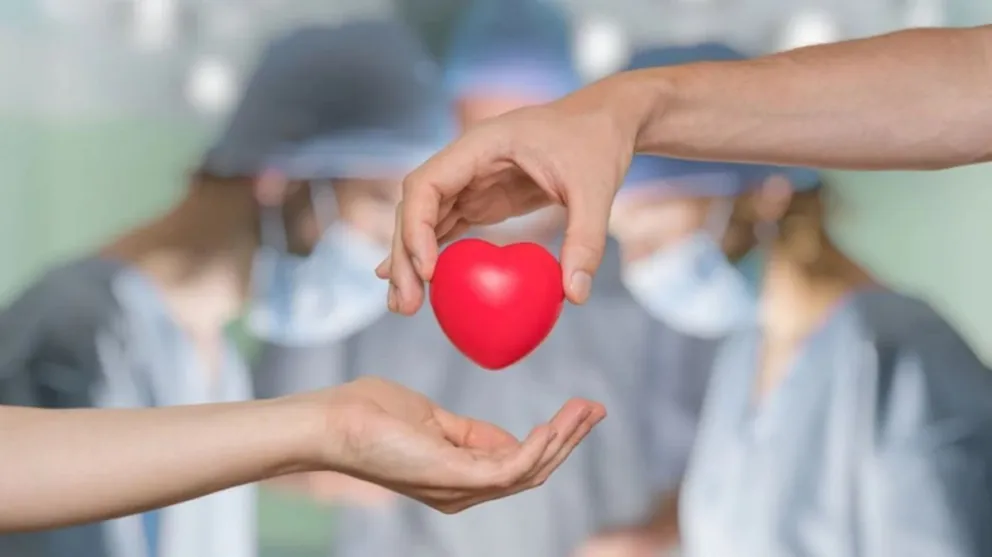 Increíble cifras de donación de órganos en el país: conocélas