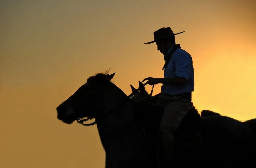 VIDEO. Desesperación: muere caballo en pleno desfile en Campo Quijano