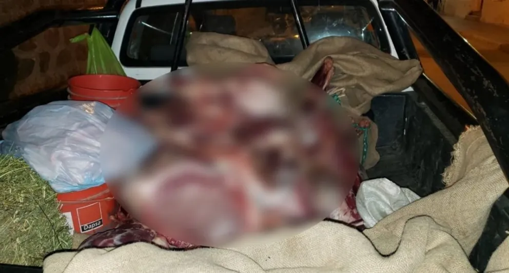 Policía fue a ver qué llevaba en la camioneta, y encontró algo asqueroso