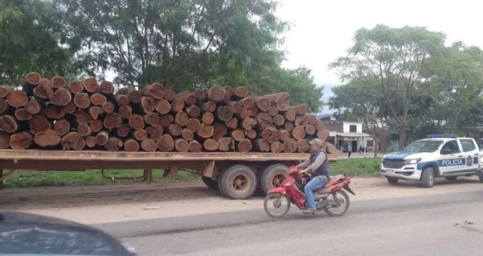 Lo engancharon con gran cantidad de madera ilegal