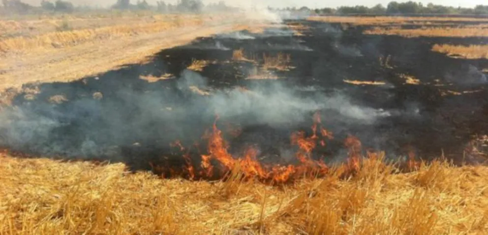 Bomberos trabajaron para sofocar un incendio producto de la quema de pastizales