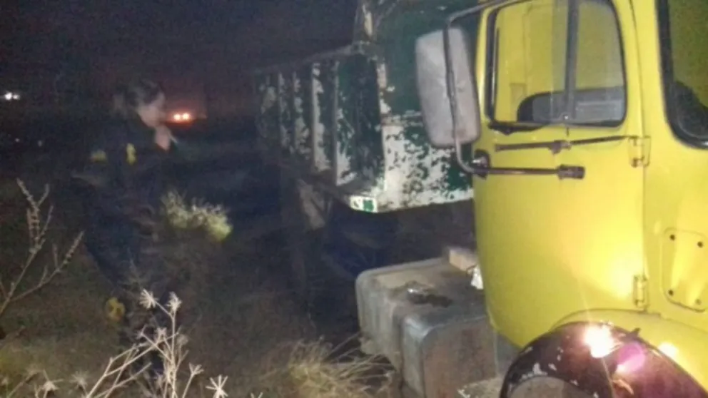 Buscaba comida en la basura, y murió aplastada por un camión