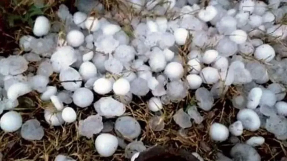 VIDEOS Y FOTOS. Cayeron granizos como piedras desde el cielo, debido a un fenómeno