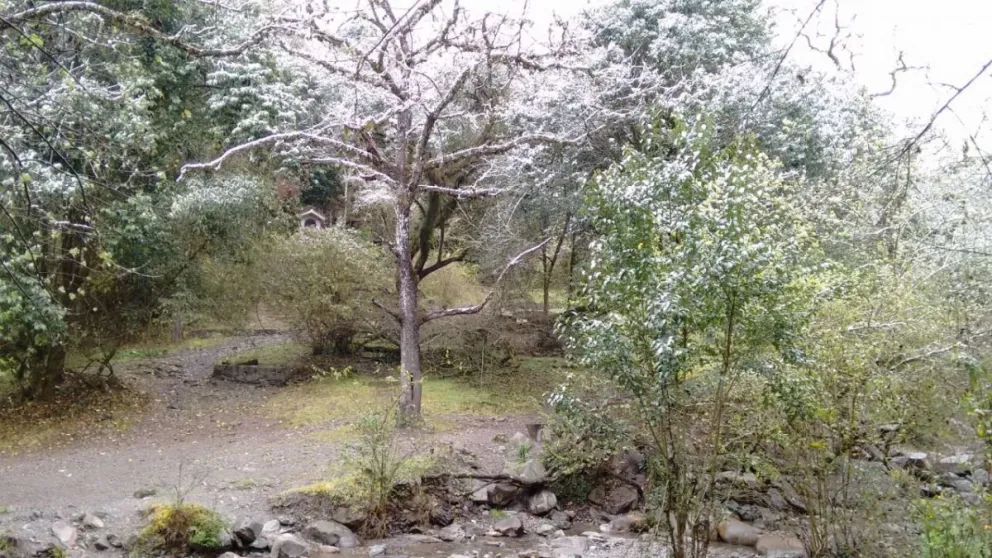 VIDEO. Cayó agua nieve en Tartagal