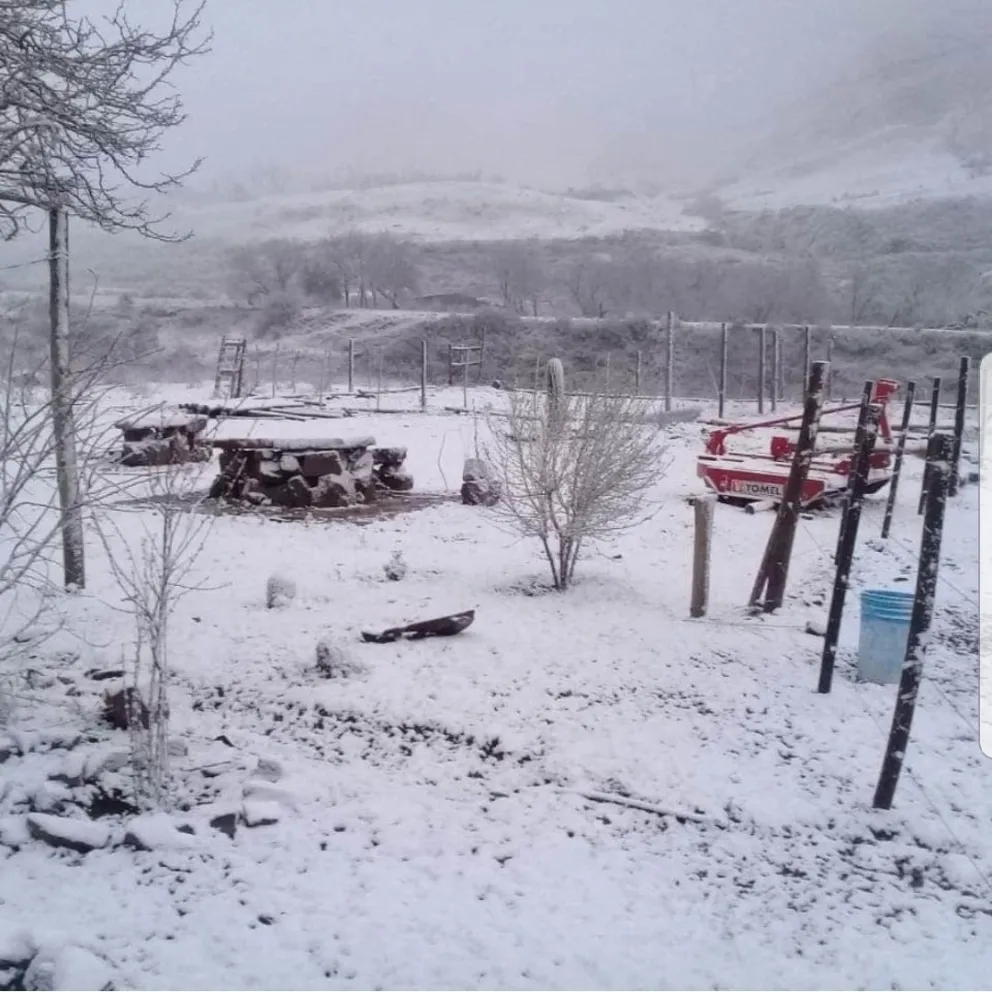 [FOTOS Y VIDEOS] Salta amaneció con un manto blanco de nieve