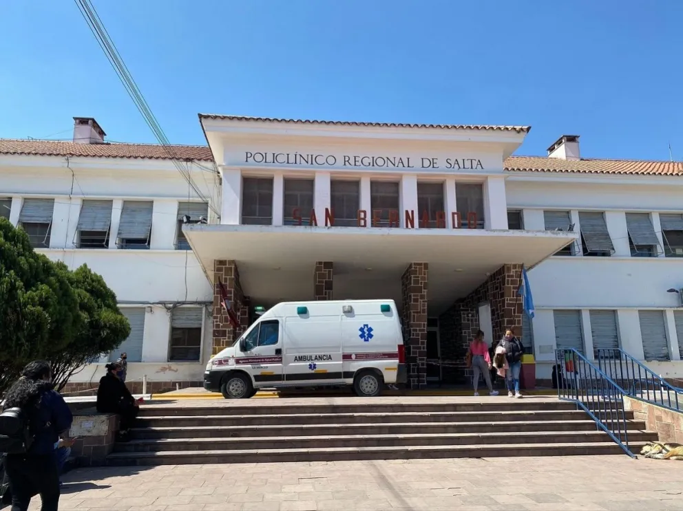 san bernardo