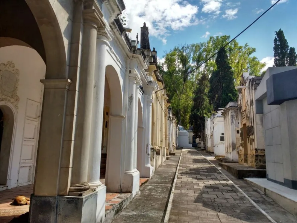 ¡Una asquerosidad! Los muertos no pueden descansar en paz en el cementerio de Cerrillos