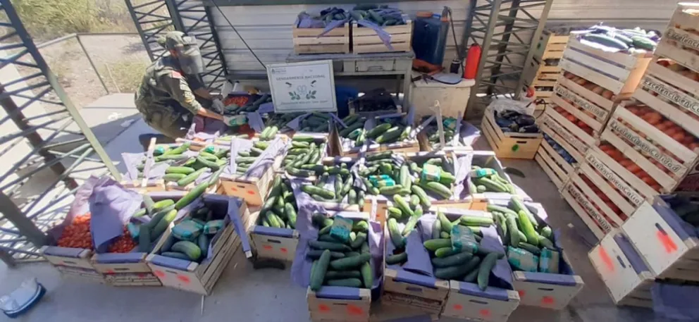 gendarmeria salta