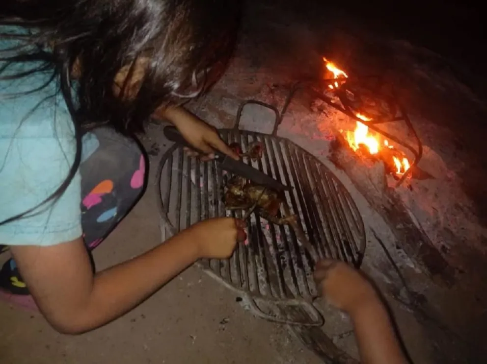 Las imágenes del hambre y del dolor: changuitos salteños cazan y comen pájaros para sobrevivir