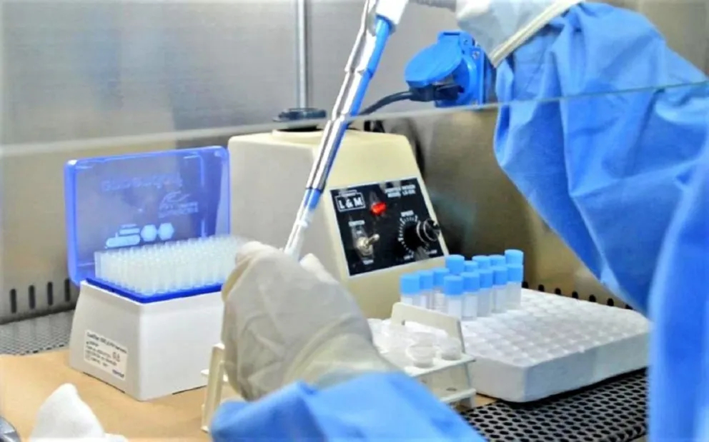 AHORA | Salta superó las 850 muertes y se confirmaron 136 casos de coronavirus en el último día