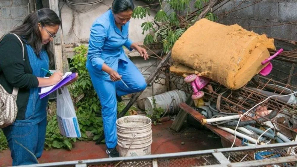 dengue salta